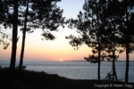 Bay D'Arcachon
